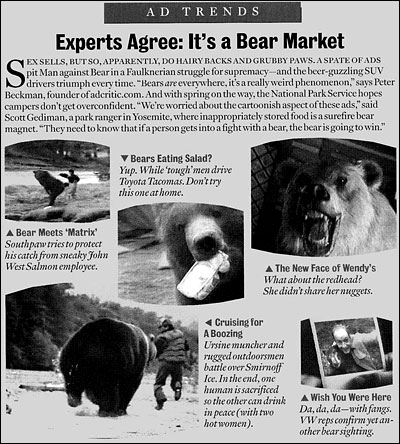 Experts Agree: It's a Bear Market